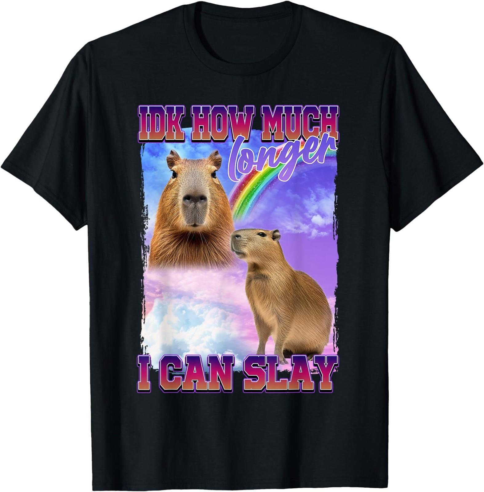 IDK How Much Longer I Can Slay Capybara T-Shirt XXXL