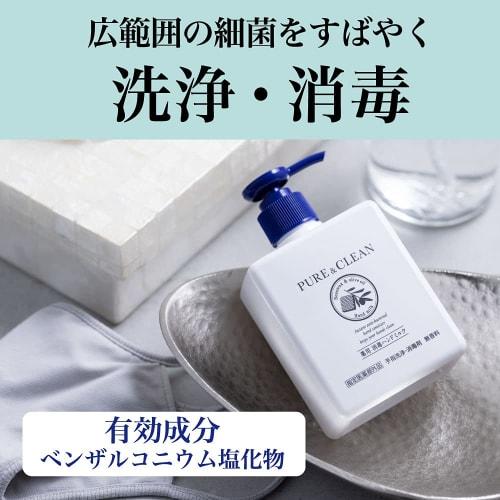 Pure & Clean Medicated Antiseptic Hand Milk, Unscented, Pump Type, 300g