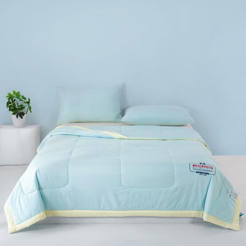 

Belle Anna Antibacterial Ice Soft Summer Quilt