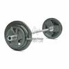 Painted Barbell Weightlifting Set