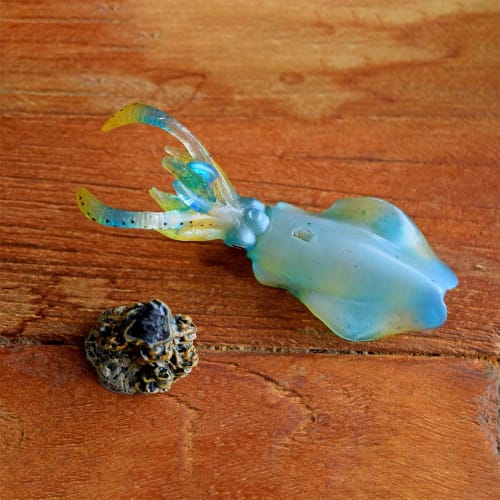 AF-202 Bigfin Reef Squid Mini Model