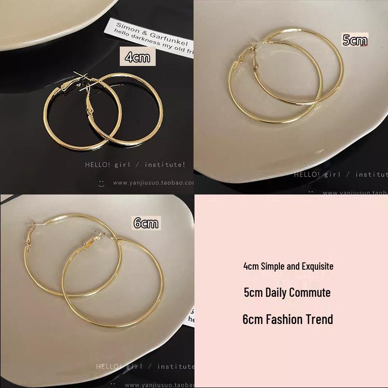 S925 Silver Needle Exaggerated Simple Hoop Earrings: Luxurious, High-End European & American Style for Women