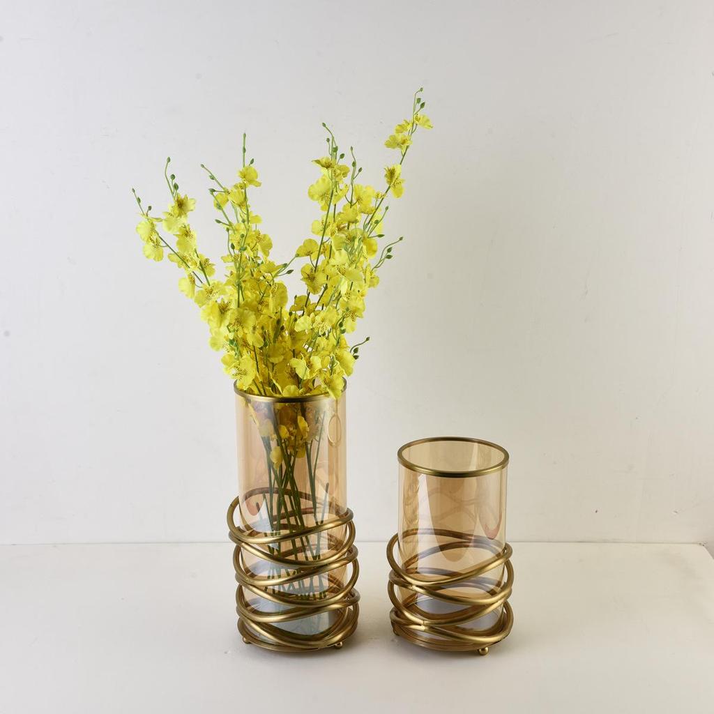 Modern Minimalist Metal & Glass Flower Vases - Home Decor & Restaurant Ornaments