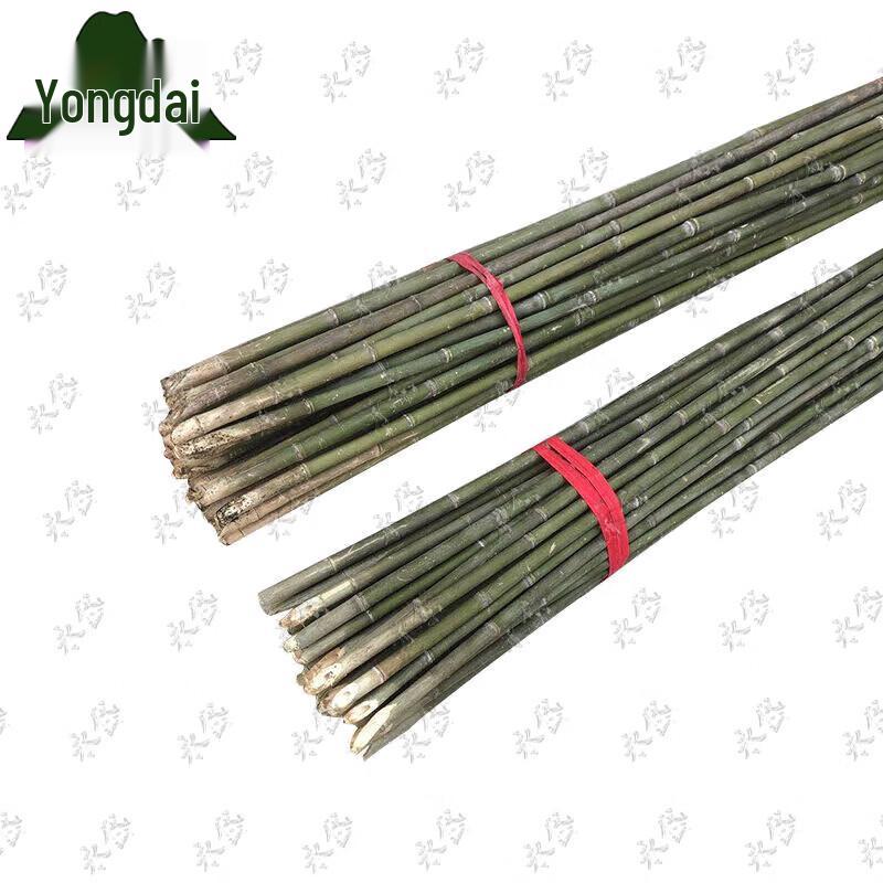 Garden Bamboo Climbing & Support Poles