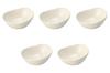 Set of 5 Orge Delica 18cm Pickle Bowls X X Oval Bowl Setomonohonpo [17.5 14.5 7.4cm]