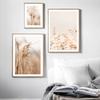 Beige Plant Grass Leaves Dandelion Reeds Posters And Prints Canvas Painting Nordic Wall Art Pictures For Living Room Home Decor
