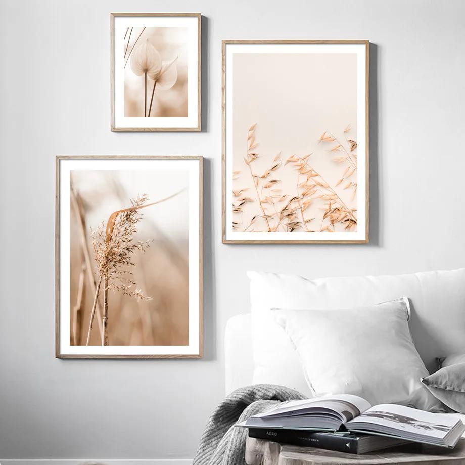 Beige Plant Grass Leaves Dandelion Reeds Posters And Prints Canvas Painting Nordic Wall Art Pictures For Living Room Home Decor