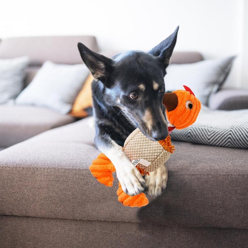 Dog Molar Toy for Puppy Tossing Toy for Indoor Dogs Aggressive Chewer Prevent Obesity Grinding Resistant