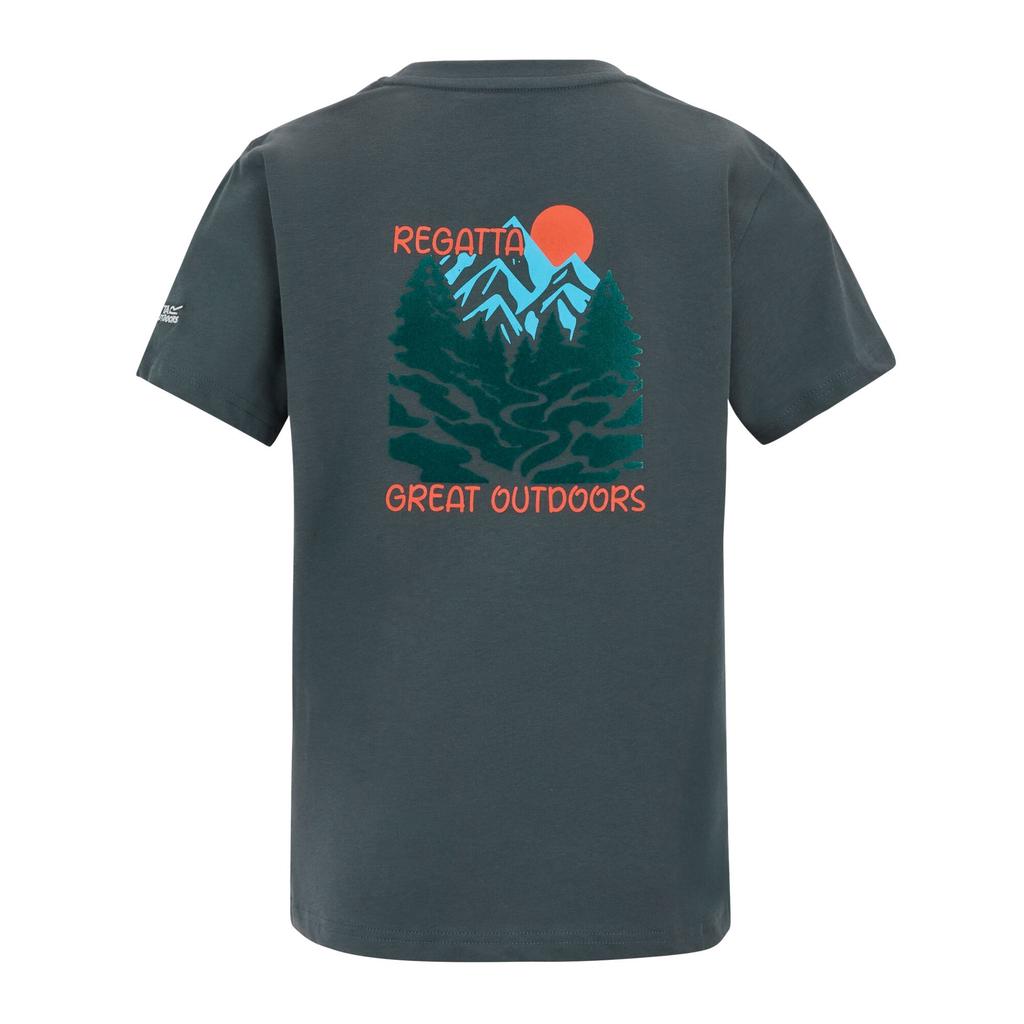 Regatta Childrens/Kids Bosley Mountain Scene Back Print T-Shirt
