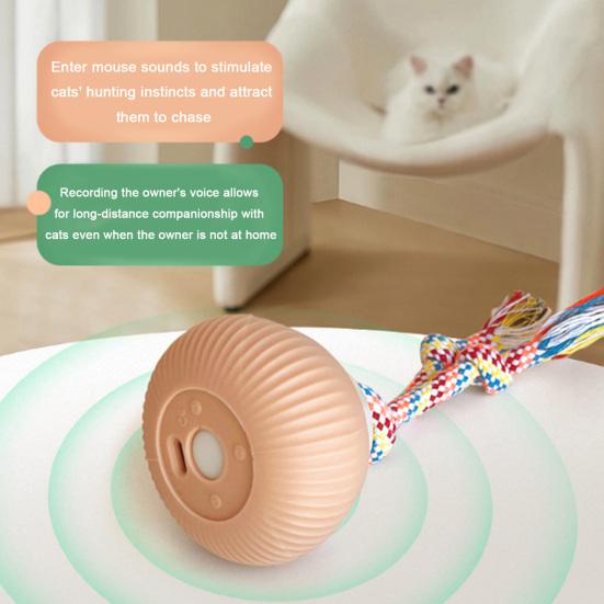 Interactive Cat Ball Dogs Rechargeable Smart Rotating Ball Pets Moving Ball with Recording Function for Indoor Outdoor Exercise Training Stimulation