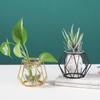 Wohnkultur Moderne Eisen Linie Vase Anlage Halter Nordic Goldene Glas Vase Vase Metall Terrarium Geometrische Hydrokultur Pflanze Blume