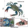 Kids' King Crab Cognitive Simulation Toy Model
