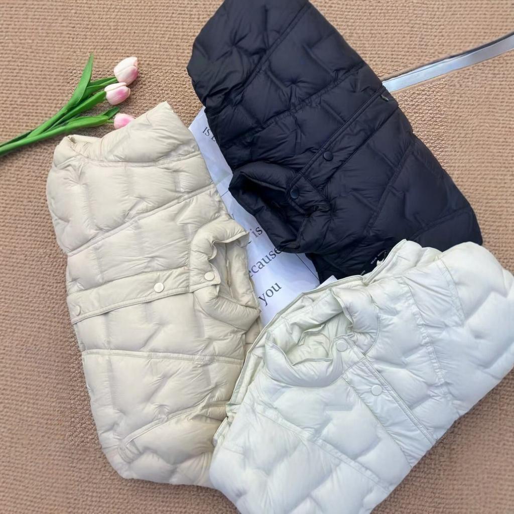 American pressed down jacket women's short stand-up collar white duck down winter fashion design sense thin coat tide