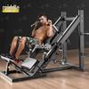 Commercial 45-Degree Leg Press & Hack Squat Machine