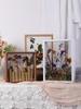 Dry flower photo frame DIY three-dimensional hollow frame Double sided dried roses eternal flowers placing dried flowers decor
