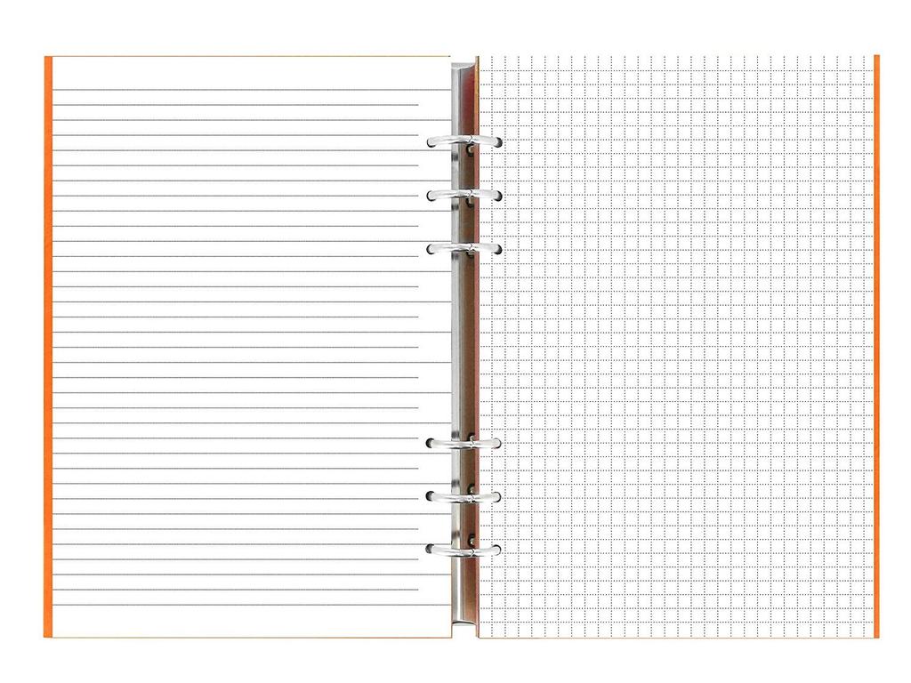 Filofax System Organizer Clipbook, A5, Orange, 26019 [Parallel Import]