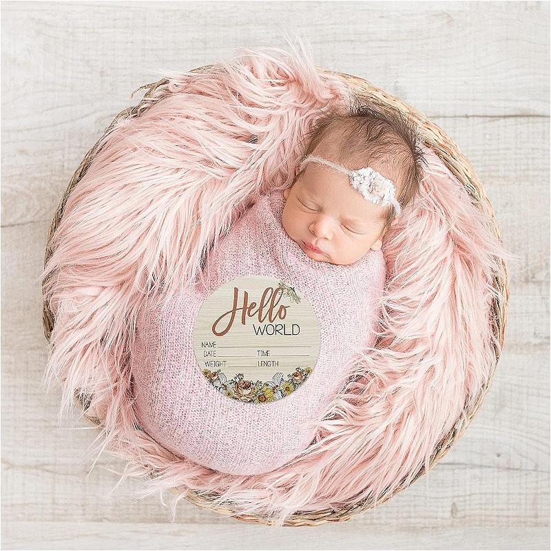 Träskylt för babymeddelande för nyfödd baby HELLO WORLD Floral Design Babyshowerpresent Könsavslöjande Graviditetsmeddelande
