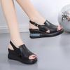 Thick-soled Wedge Sandals Women's New Summer High-heeled Fish Mouth Women's Shoes Hollow-out Heightening Muffin Large-size Sandals