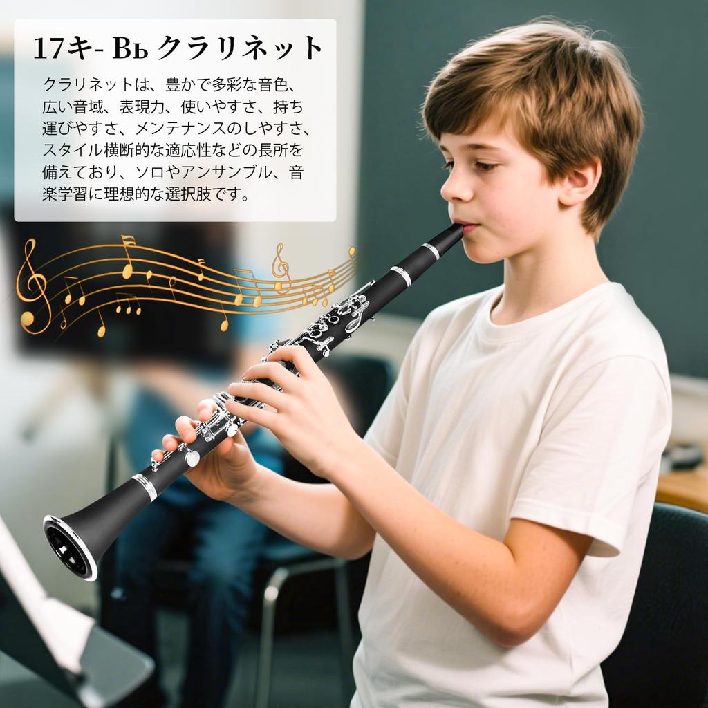 BQKOZFIN Clarinet 17 Keys ABS Resin Body Wind Instrument Set Easy To Clean Black B Nickel-plated Beginner's F-300 (Performance)