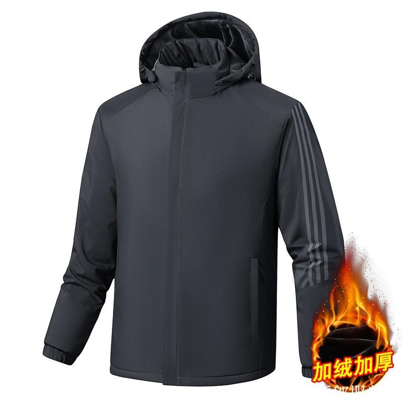 Men's New Three-bar Cotton-padded Jacket, Young Student Casual Large-size Brand Hooded Cotton-padded Jacket