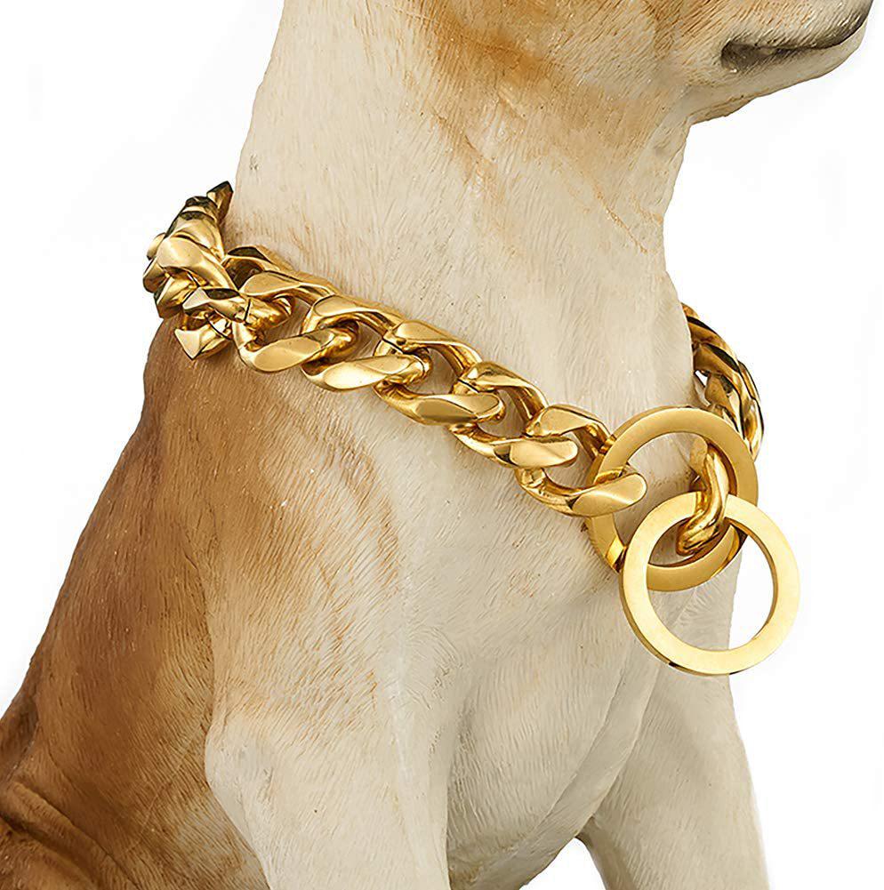 Guinzaglio e Collare a Catena P in Acciaio Inossidabile Dorato da 19 mm - Collana per Animali Domestici Hip Hop