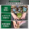 Kaiju Plant Monster Moss Fluffy Water Moss Compressed Type 150g 12L Sphagnum Agave Rooting Management Bikaku Board Attachment