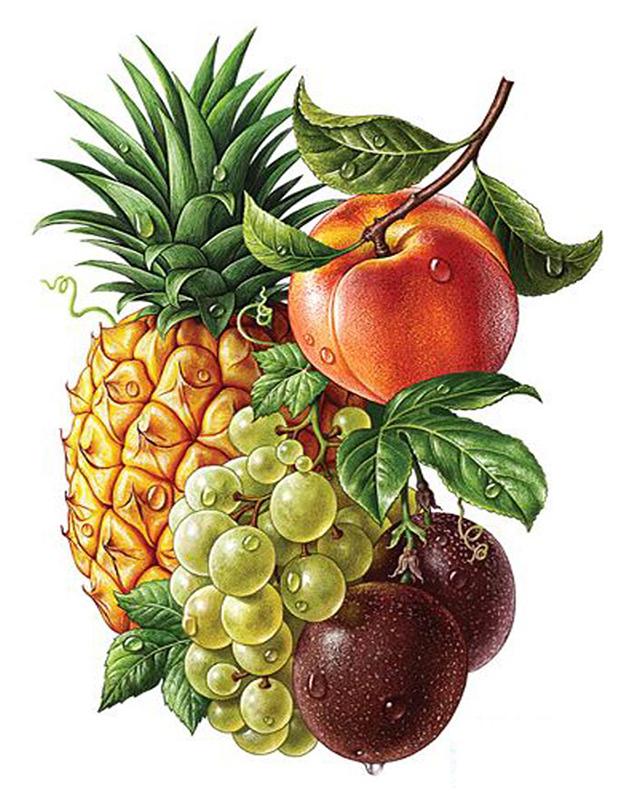 5D Diamond Painting Fruit Full Square Rhinestone Kit Diamond Embroidery Animal Mosaic Cross Stitch Handmade Gift