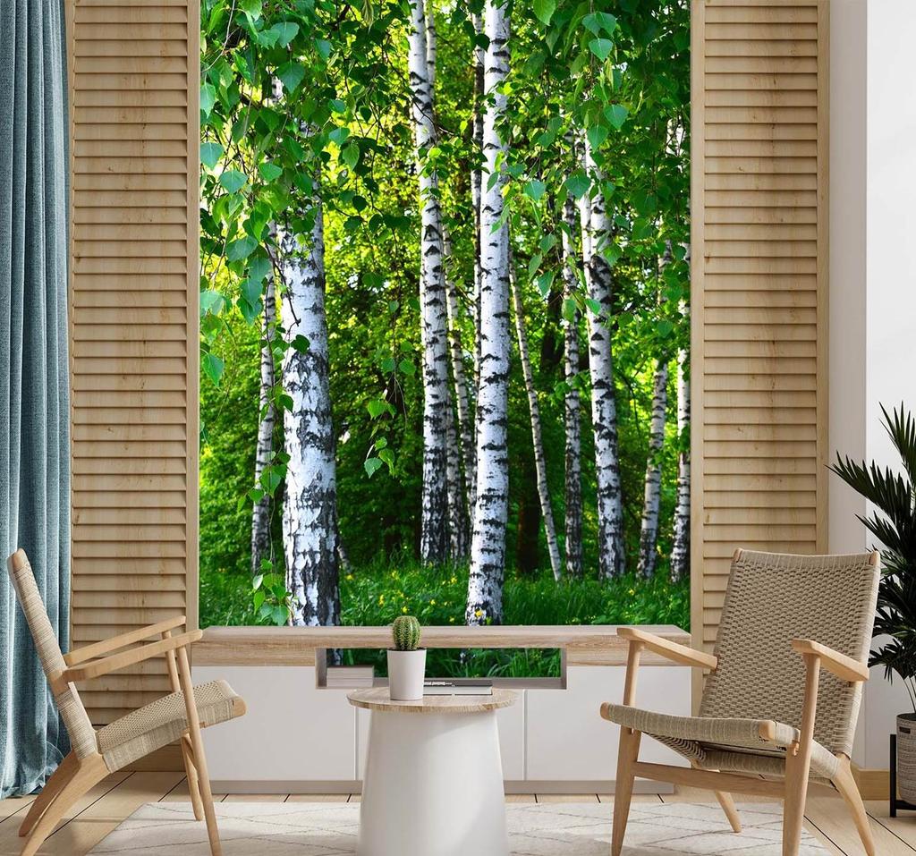 Wallpaper Birch Forest Nature