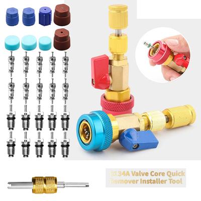 Kit de 31 Piezas Removedor de Núcleo de Válvula de Alta y Baja Presión para Sistema de Aire Acondicionado con Refrigerante R134A, Instalador Removedor de Núcleo de Válvula R134A