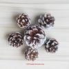 Kiefernzapfen Weihnachtsdekoration: Kiefernzapfen & Trockenblumen DIY Set