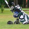 Golf Ball Holder Portable Storage Bag, Drawstring Mesh Pouch for Accessory, Bag Gear Organizer, Gift Men Women Golfer