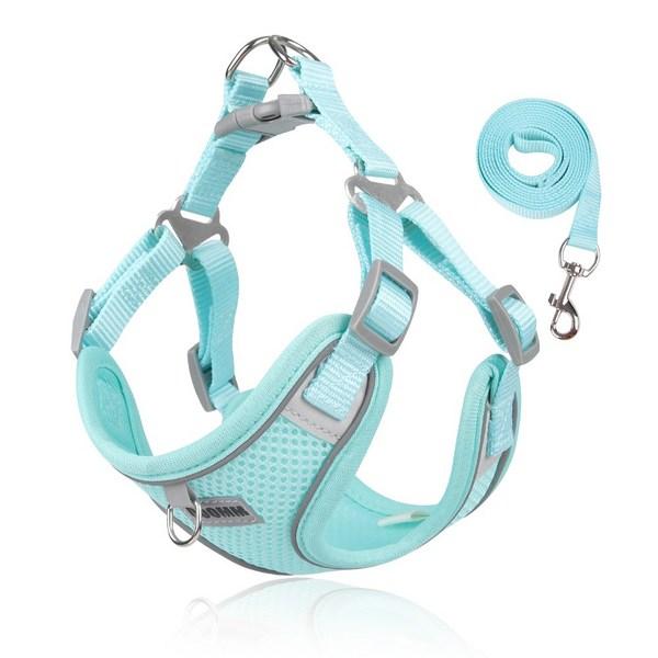 BizL Basic Night Light Reflective Harness + Leash for All Seasons, Green, 1 Set