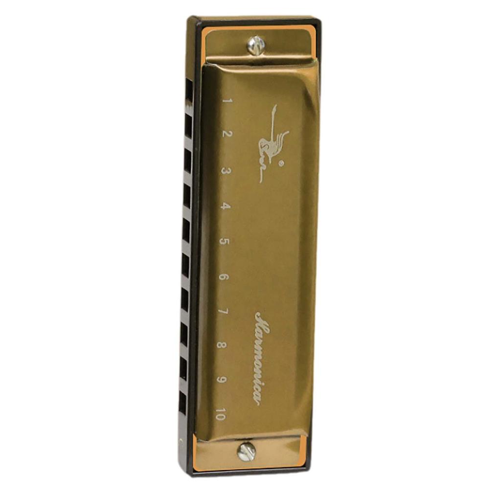 10 Hole C Key Blues Harmonica Beginner To Play 10 Hole Harmonica