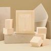 Artist Hydro Sponge 6P