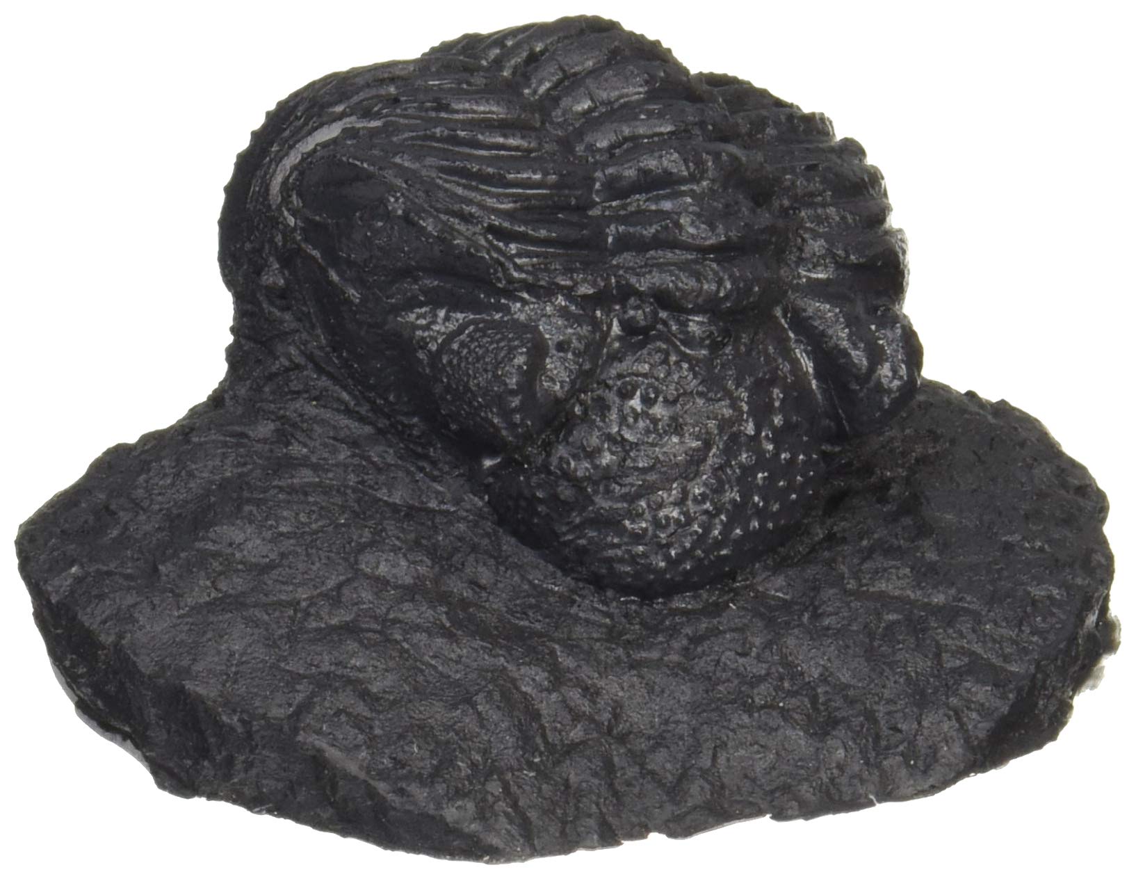 

Masterpiece Model 1/1 Trilobite Fossil Replica Resin Kit MSPMMDIN7036