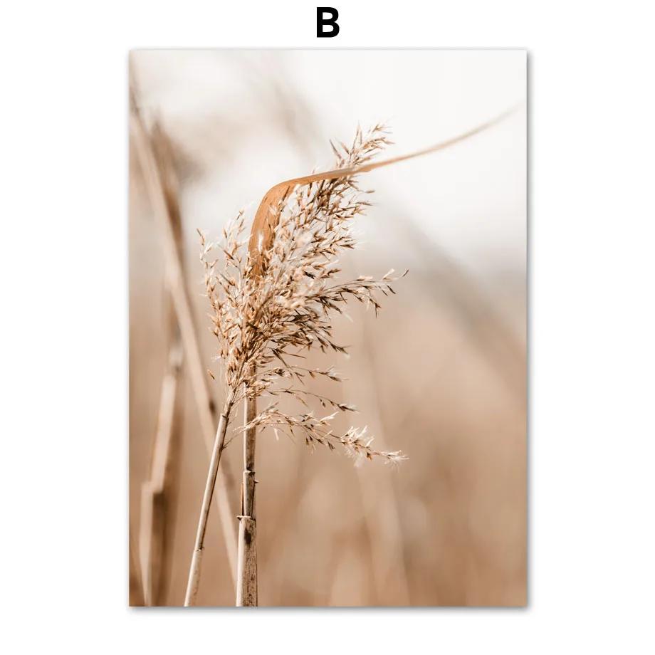 Beige Plant Grass Leaves Dandelion Reeds Posters And Prints Canvas Painting Nordic Wall Art Pictures For Living Room Home Decor