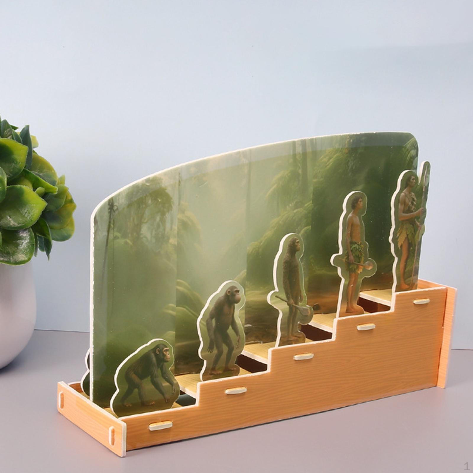 

Human Historical Puzzle Toy Science Craft Hands on Color Recognition Education Early Learning