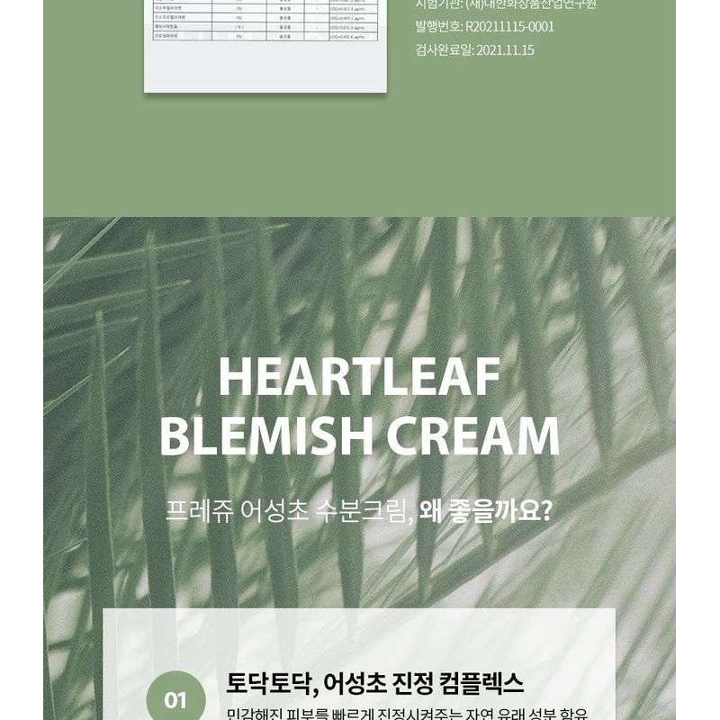 Fraijour - Heartleaf Blemish Feuchtigkeitscreme