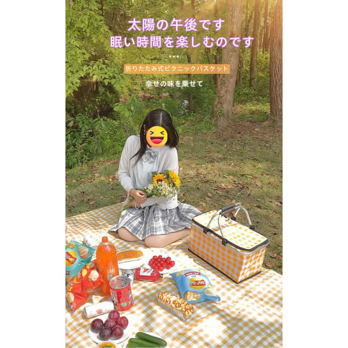 YIJOFU Picnic Bag, Picnic Basket, Insulated, Cold, and Fresh, Foldable Picnic Box with Aluminum Handle, Large Capacity, Thermal Bag, Cooler Bag, Shopp