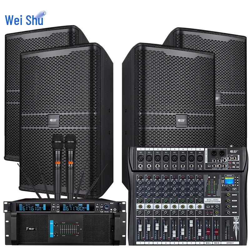 WeiShu PC-610A 10-inch Full-Range Passive Professional Speaker