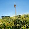Metal Birdhouse Garden Stake Iron Bird Nest Decor for Yard
