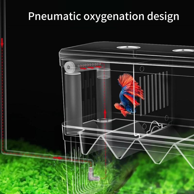 Floating Breeder Box for Fish Tanks for Isolating Sick Fish or Hatching Eggs Fish Breeding Chamber Reproduction