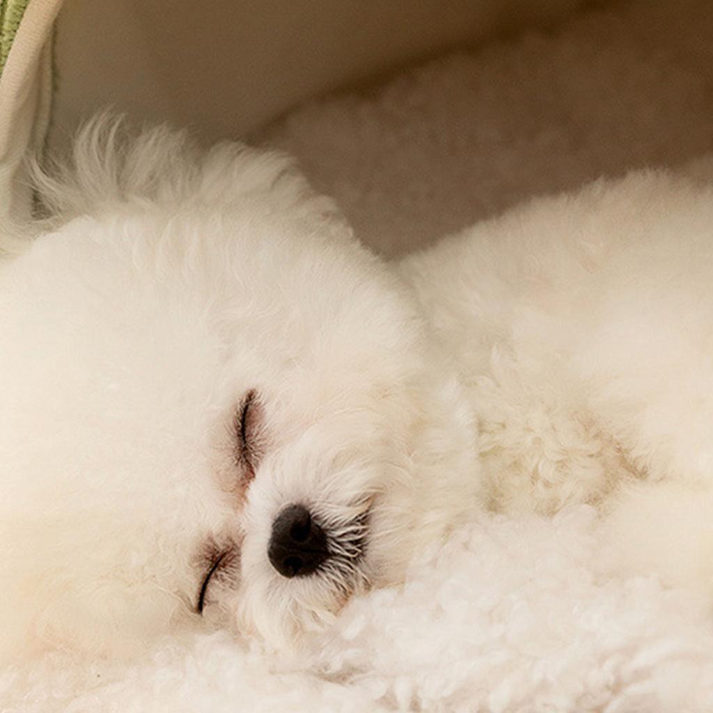 Soft Cat Bed Deep Sleeping Bed Dog Cat Winter House Pumpkin Shape Enclosed Pet Tent for Kitten Puppy Sleeping Supplies