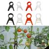 100 Pieces Plant Support Clips Cucumber Grow Upright Trellis Clips Flower Plant Clamps Flower Vine Stem Clips for Roses