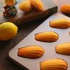 CHEFMADE Madeleine Mold, Shell Shape, Thin, 6 Cavities, Non-Stick