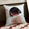 Singer PPorter RRobinson Cushion Cover Reversible Soft Durable Pillow Cover Home  Car MultiScene Use for Daily Comfort
