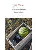 Car Mounted Folding Storage Box for Camping and Fishing Gear