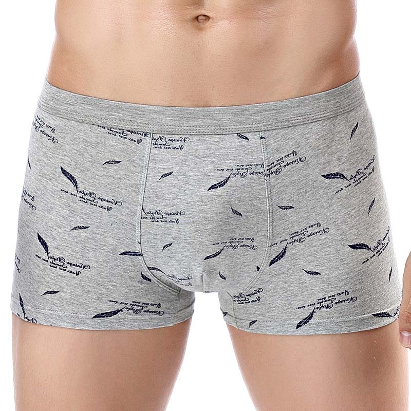 New Mens Underwear Boxer Cotton Homme Print 3D Boxershorts Men Boxers Male Underpants Size Plus XL-4XL