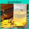 Beekeeper Bees Beekeeping Dispenser Feeder Beehive Entrance Bee Drinking Water Feeder Cup Tool