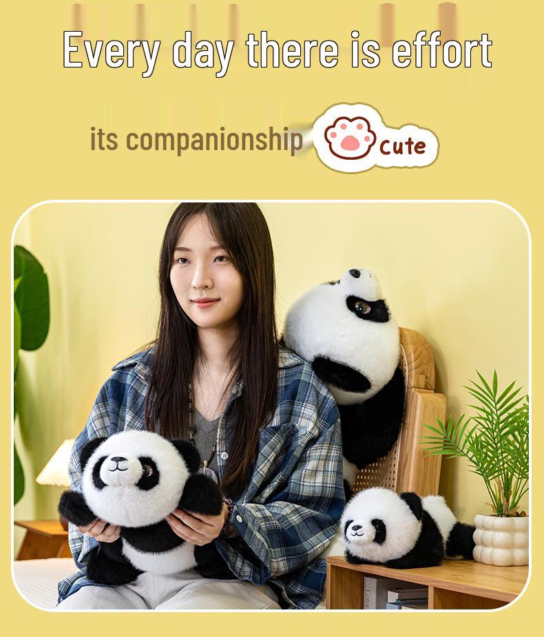 Cross-Border Panda Plush Toy: Children's Birthday Gift & Office Nap Pillow